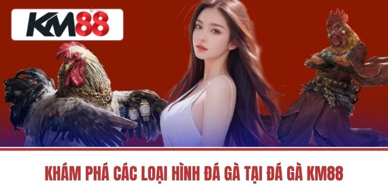 Khám Phá Các Loại Hình Đá Gà Tại Đá Gà Km88
