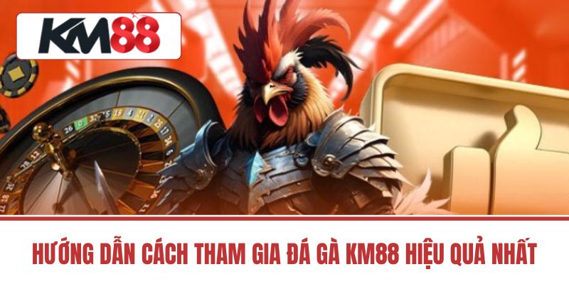 Hướng Dẫn Cách Tham Gia Đá Gà Km88 Hiệu Quả Nhất