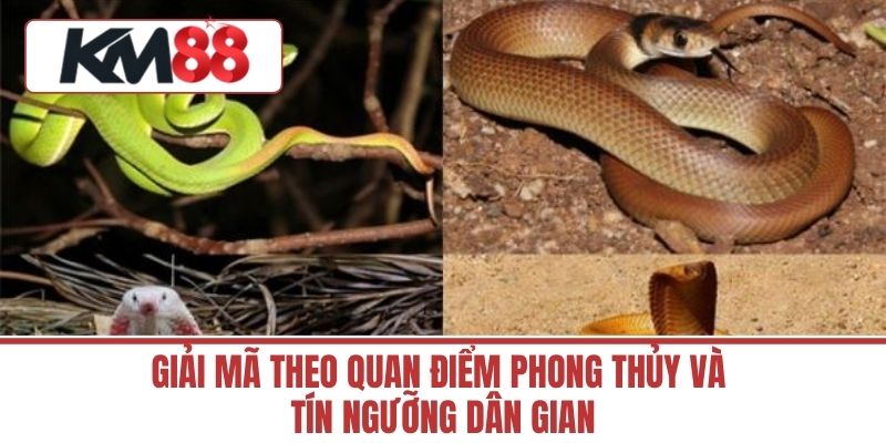 Giải Mã Theo Quan Điểm Phong Thủy và Tín Ngưỡng Dân Gian